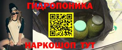 трава Бийск