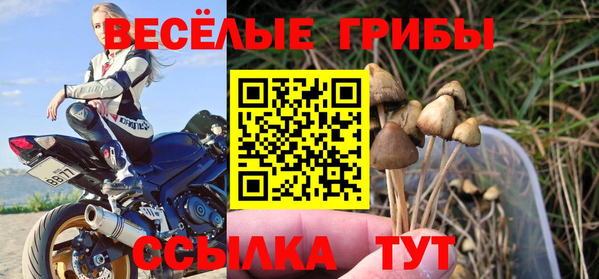 Заводоуковск  Галлюциногенные грибы MAGIC MUSHROOMS  Вход с VPN 
